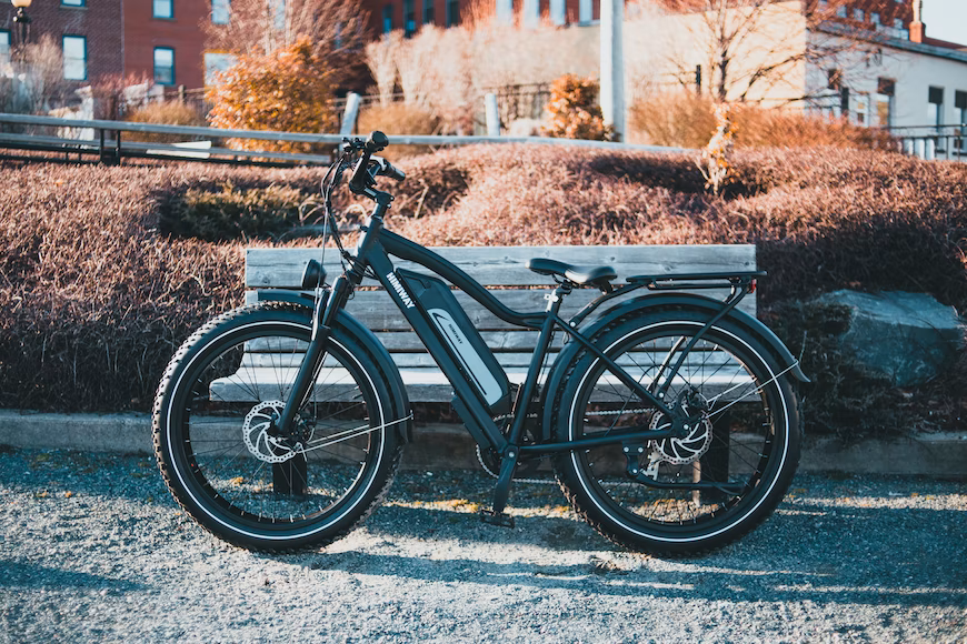 bici elettrica panchina.jpg